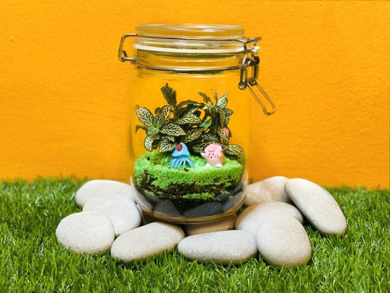 online terrarium workshop