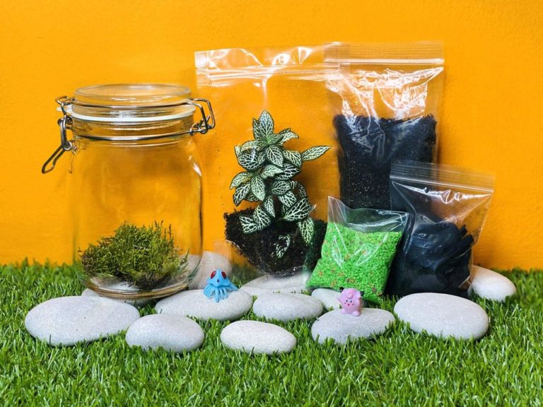 DIY Moss Terrarium for Teams, Online class & kit