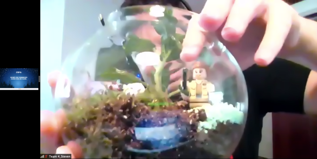 virtual Terrarium Workshop